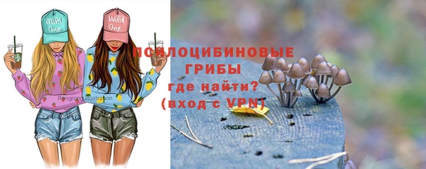 соль ск Елизово