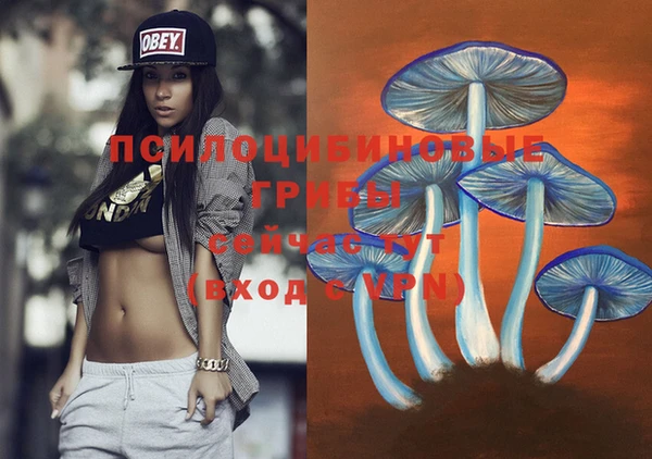 амф Елабуга