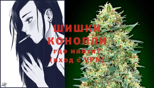 соль ск Елизово