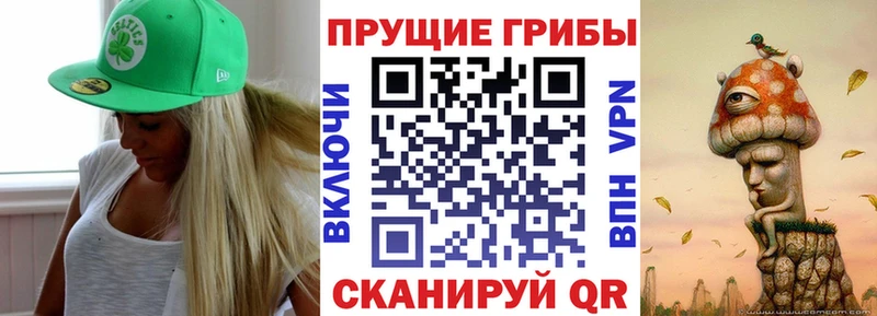 Галлюциногенные грибы Cubensis  цены наркотик  Западная Двина 